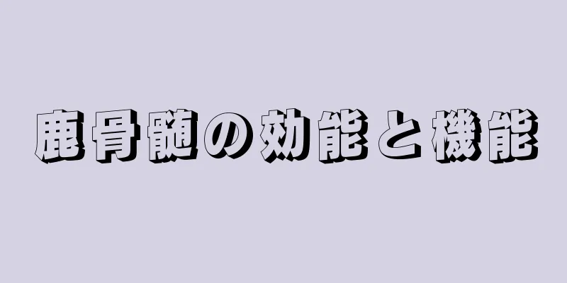 鹿骨髄の効能と機能