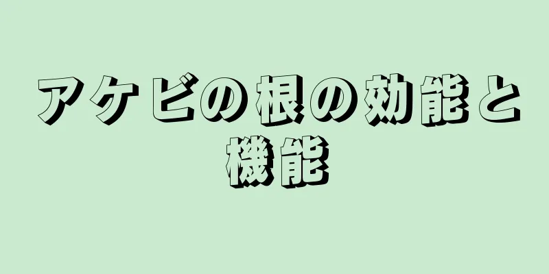 アケビの根の効能と機能