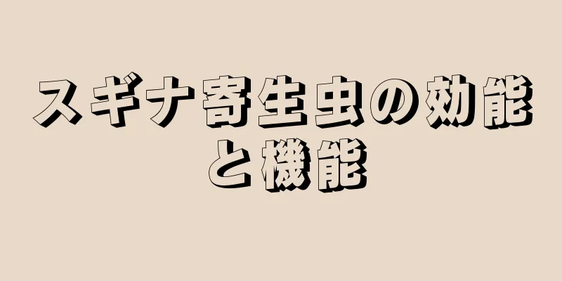 スギナ寄生虫の効能と機能