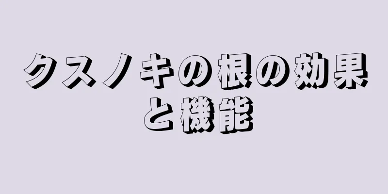 クスノキの根の効果と機能