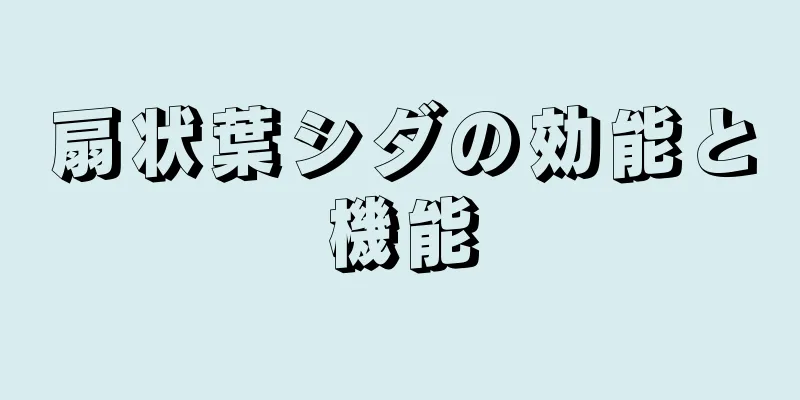 扇状葉シダの効能と機能
