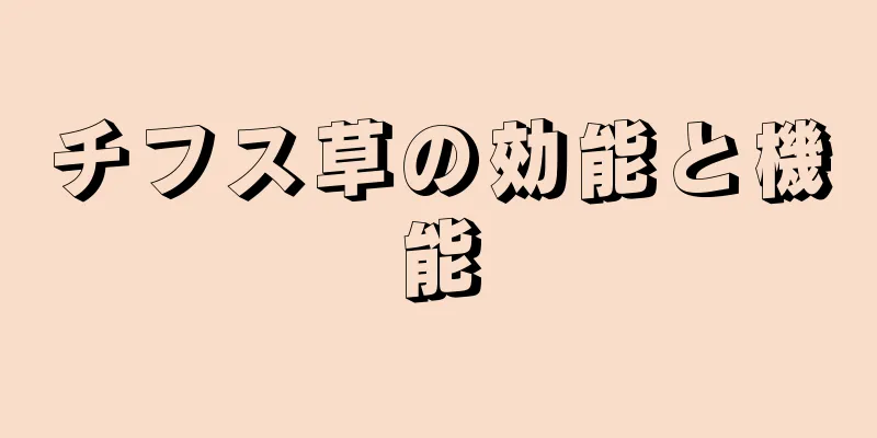 チフス草の効能と機能