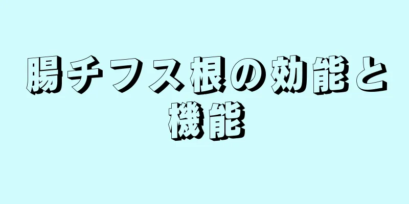 腸チフス根の効能と機能