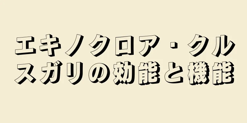 エキノクロア・クルスガリの効能と機能