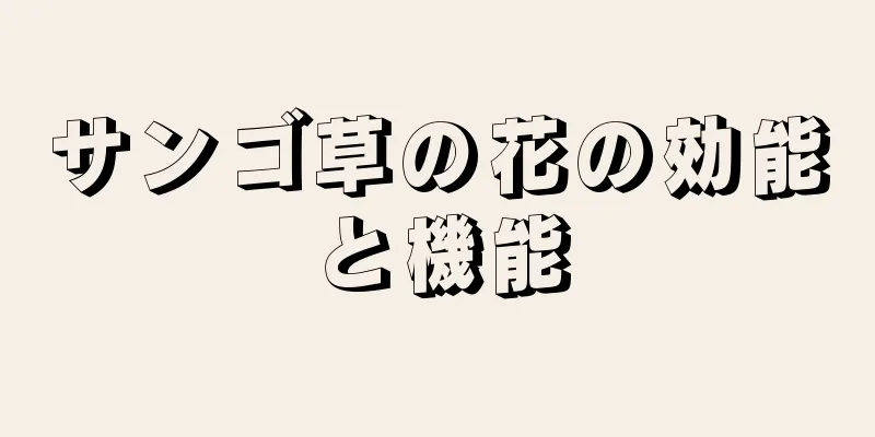 サンゴ草の花の効能と機能