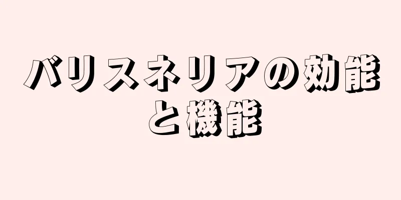 バリスネリアの効能と機能