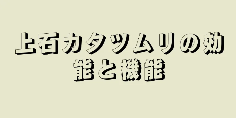 上石カタツムリの効能と機能