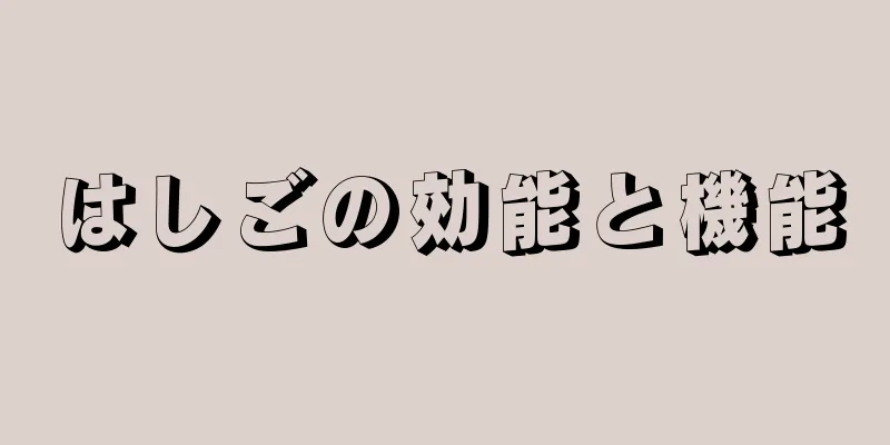 はしごの効能と機能
