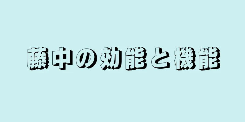藤中の効能と機能