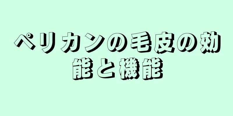 ペリカンの毛皮の効能と機能
