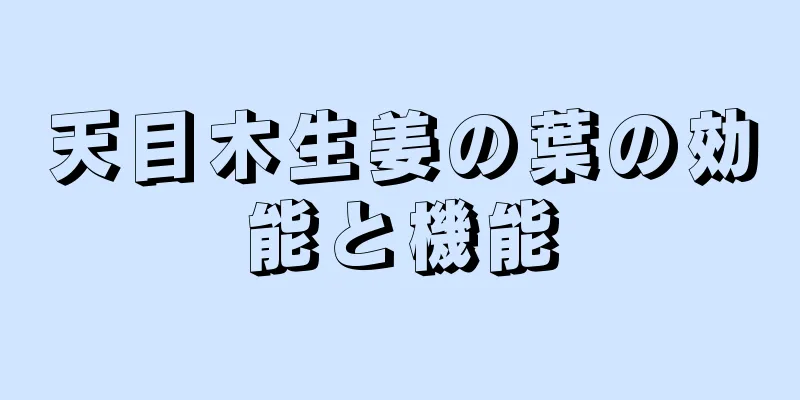 天目木生姜の葉の効能と機能