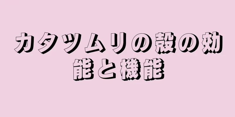 カタツムリの殻の効能と機能
