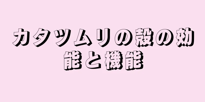 カタツムリの殻の効能と機能