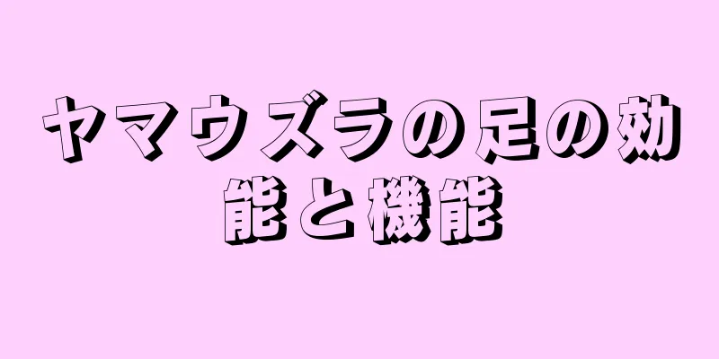 ヤマウズラの足の効能と機能