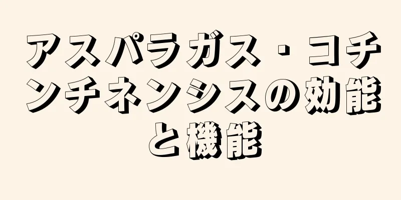 アスパラガス・コチンチネンシスの効能と機能