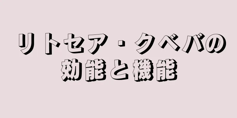 リトセア・クベバの効能と機能