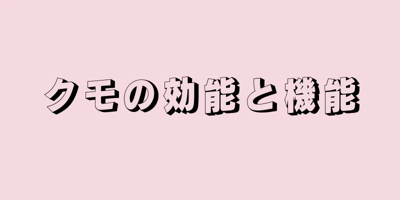 クモの効能と機能