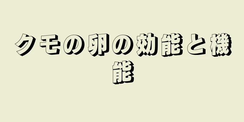 クモの卵の効能と機能