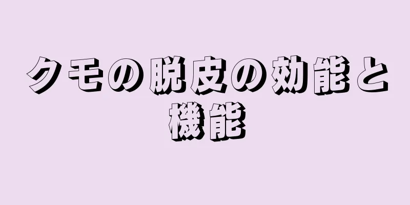 クモの脱皮の効能と機能