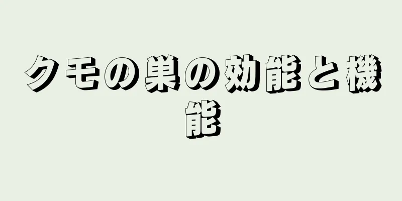 クモの巣の効能と機能