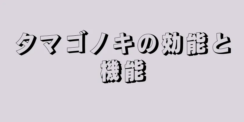 タマゴノキの効能と機能