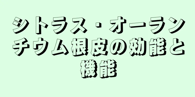 シトラス・オーランチウム根皮の効能と機能