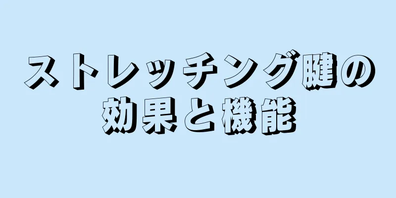 ストレッチング腱の効果と機能