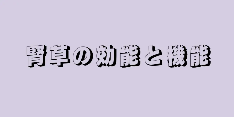 腎草の効能と機能