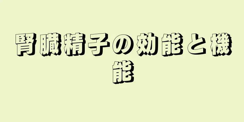 腎臓精子の効能と機能