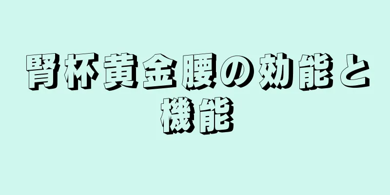 腎杯黄金腰の効能と機能