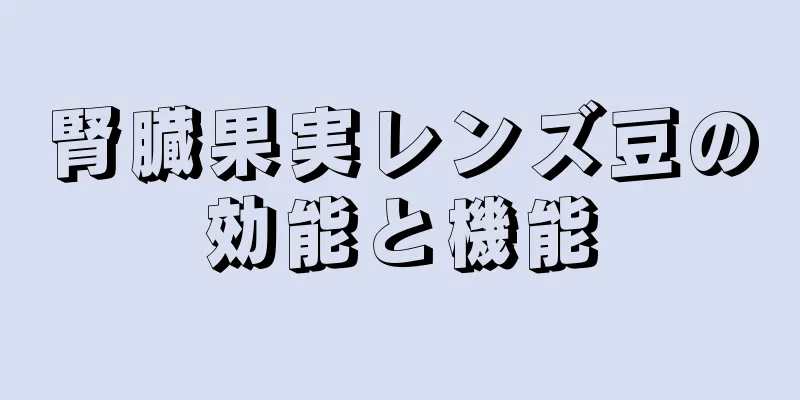腎臓果実レンズ豆の効能と機能