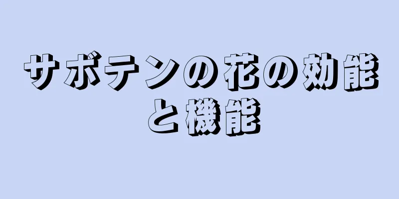 サボテンの花の効能と機能