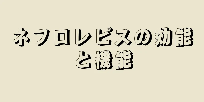 ネフロレピスの効能と機能