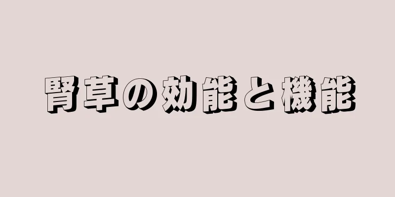腎草の効能と機能