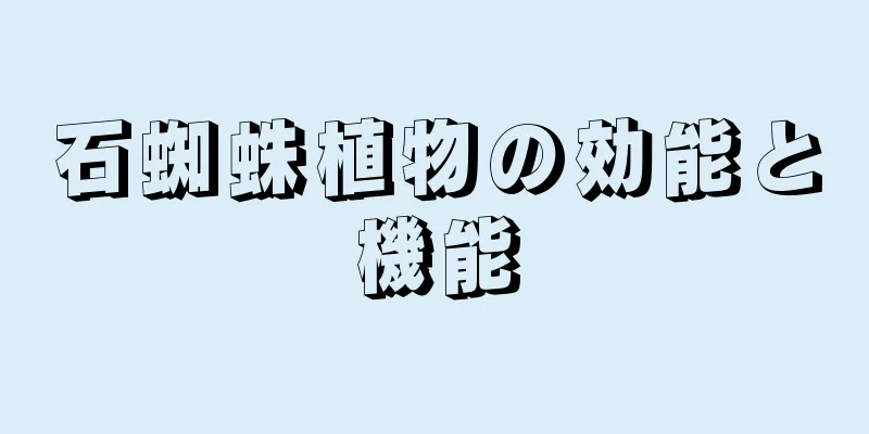 石蜘蛛植物の効能と機能