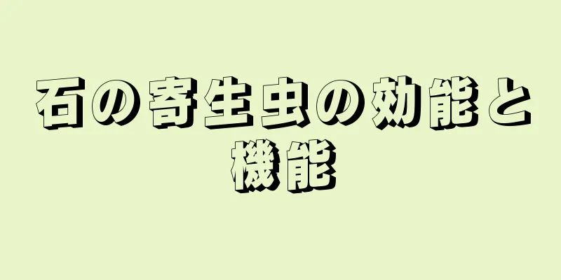 石の寄生虫の効能と機能