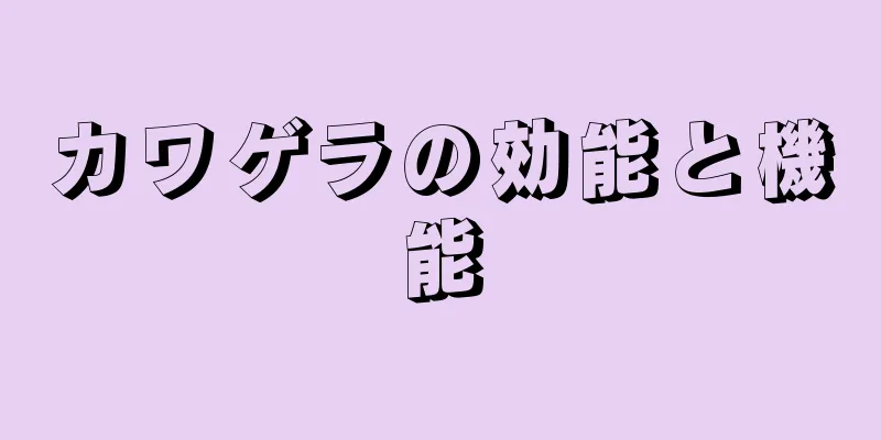カワゲラの効能と機能