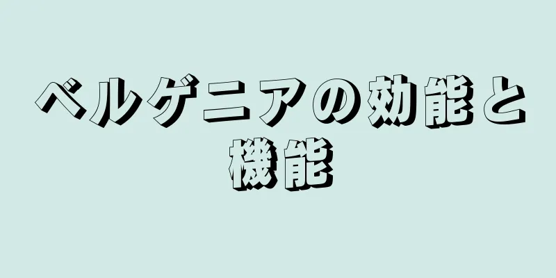 ベルゲニアの効能と機能