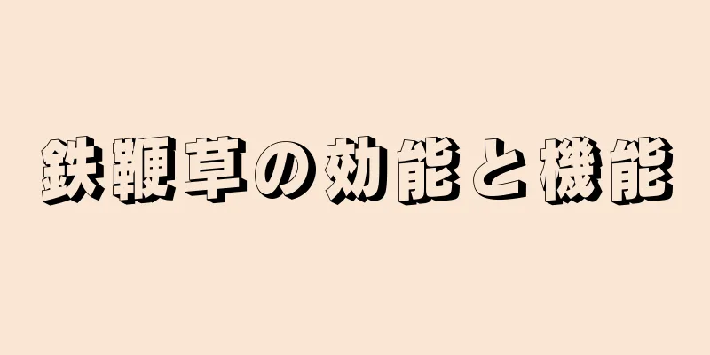 鉄鞭草の効能と機能