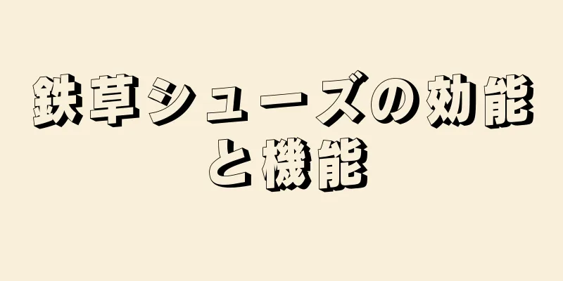 鉄草シューズの効能と機能