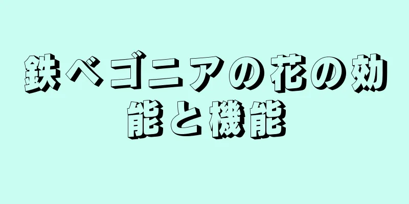 鉄ベゴニアの花の効能と機能