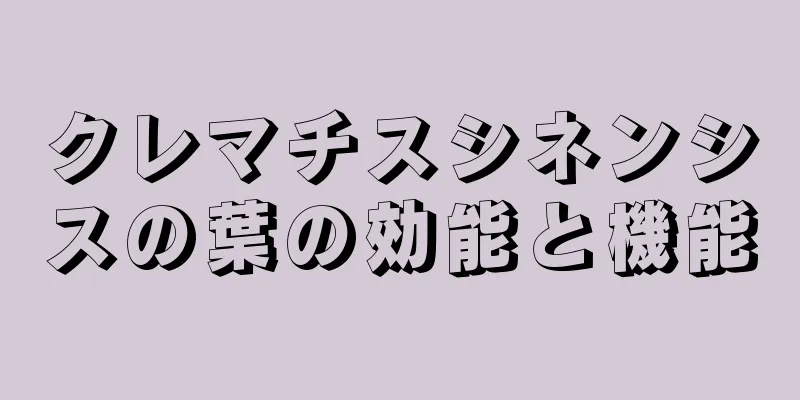 クレマチスシネンシスの葉の効能と機能