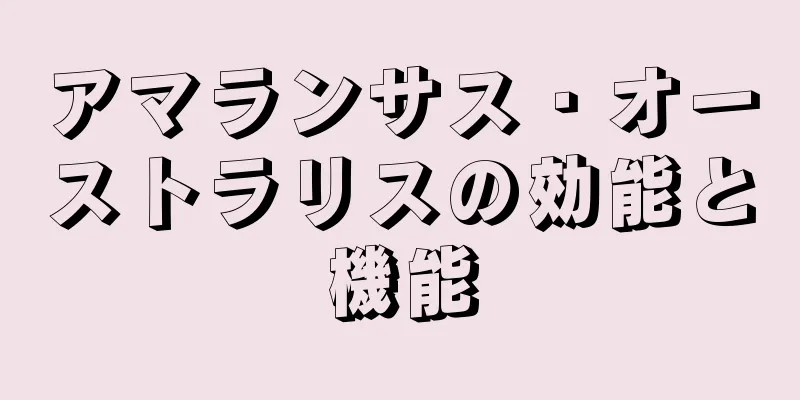 アマランサス・オーストラリスの効能と機能