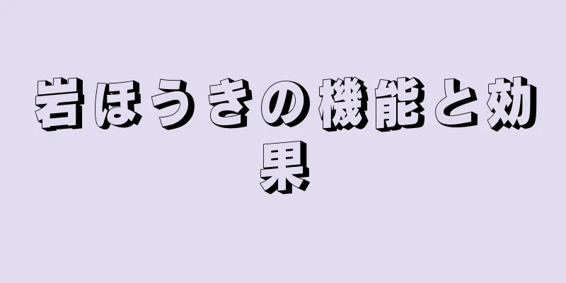 岩ほうきの機能と効果