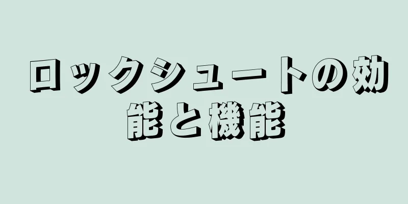 ロックシュートの効能と機能