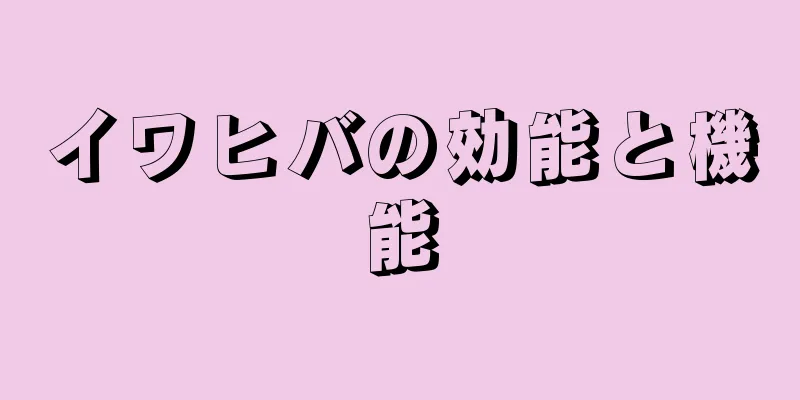 イワヒバの効能と機能