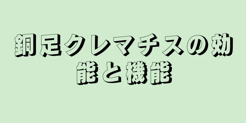 銅足クレマチスの効能と機能