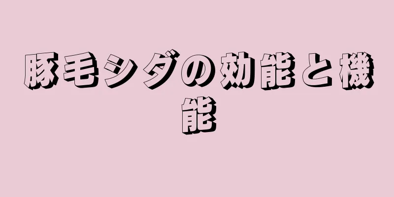 豚毛シダの効能と機能