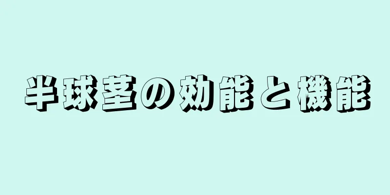 半球茎の効能と機能