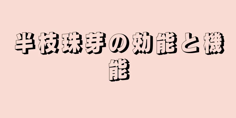 半枝珠芽の効能と機能